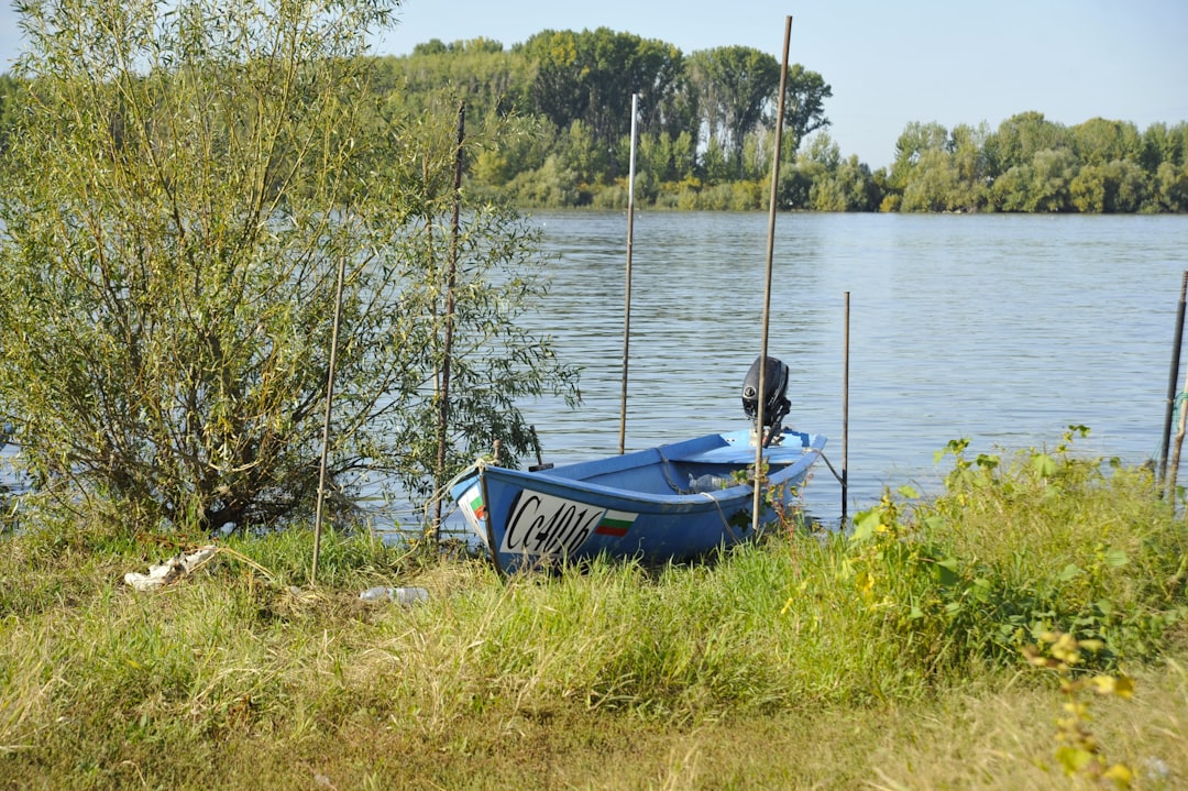 Lac des Vieilles Forges – Pêche, baignade et infos pratiques poissons et pêche au lac des vieilles forges