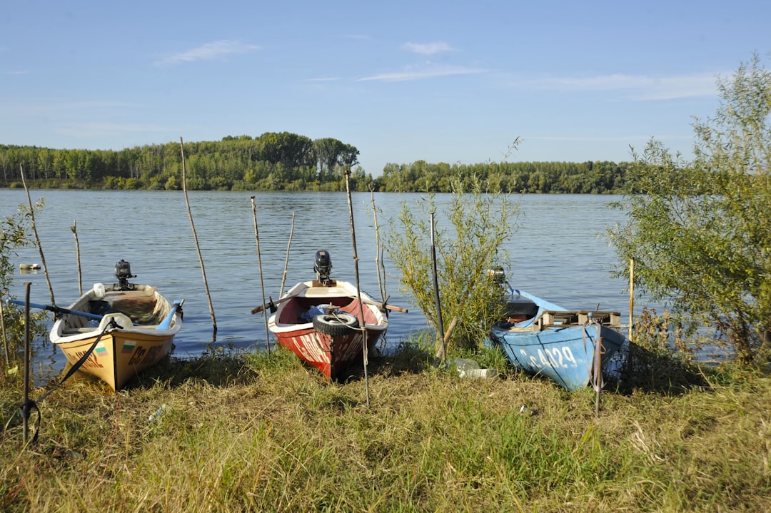 Lac des Vieilles Forges – Pêche, baignade et infos pratiques activités au lac des vieilles forges
