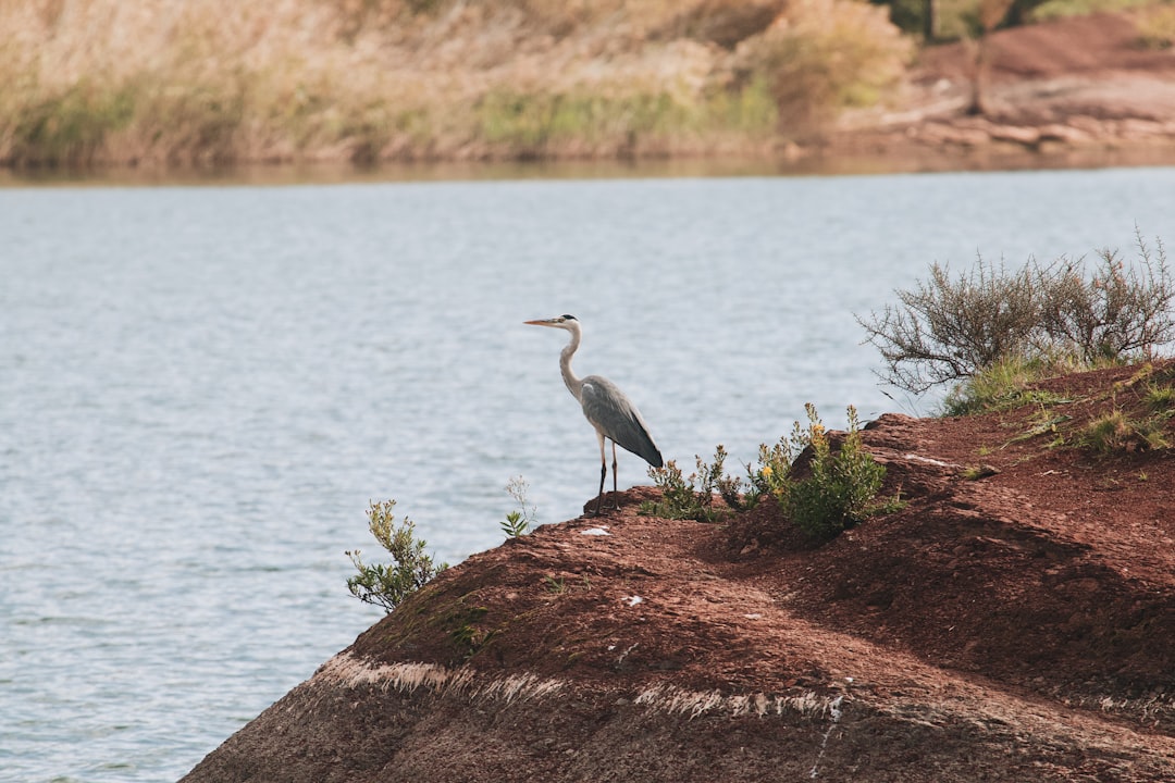 activités au lac du bouchet