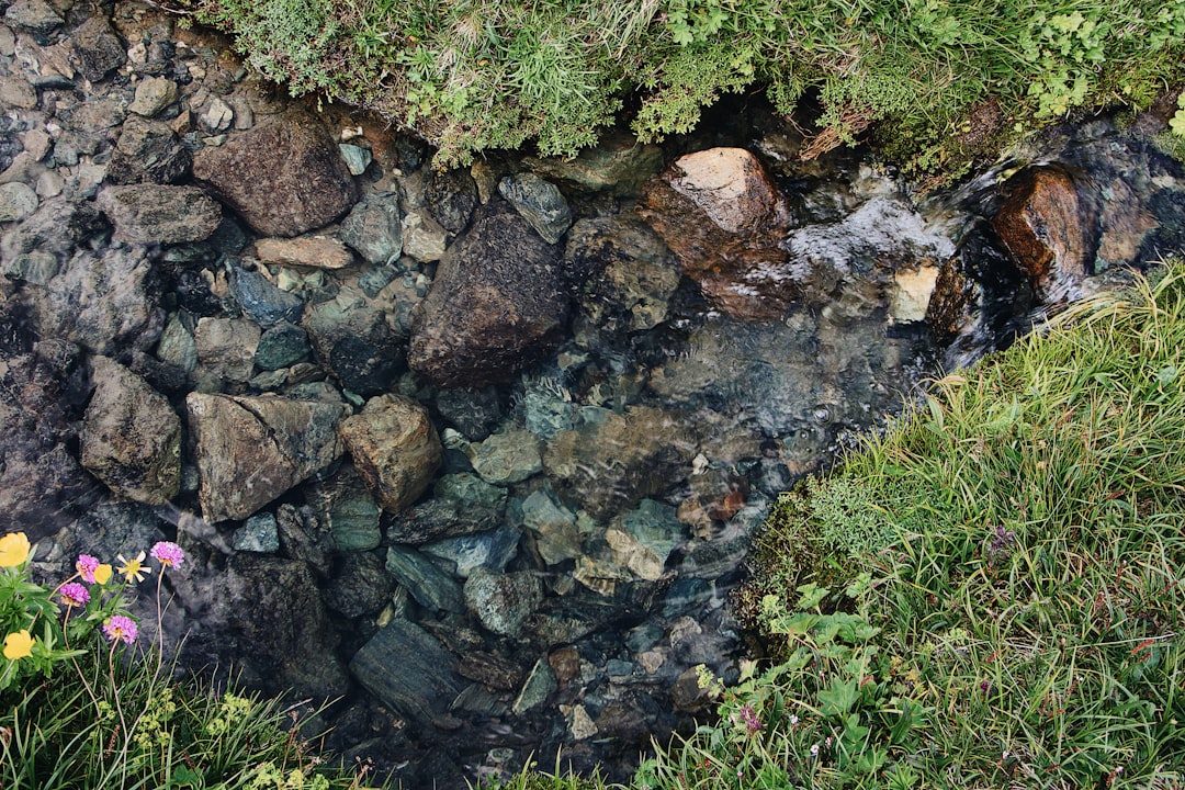 Lac du Crozet – Espèces de poissons, pêche et loisirs nautiques lac du crozet pêche aux leurres