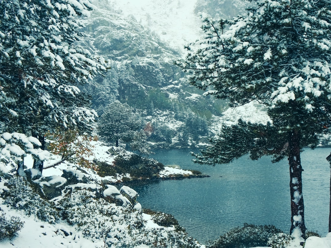 lac du montagnon - vue du lac