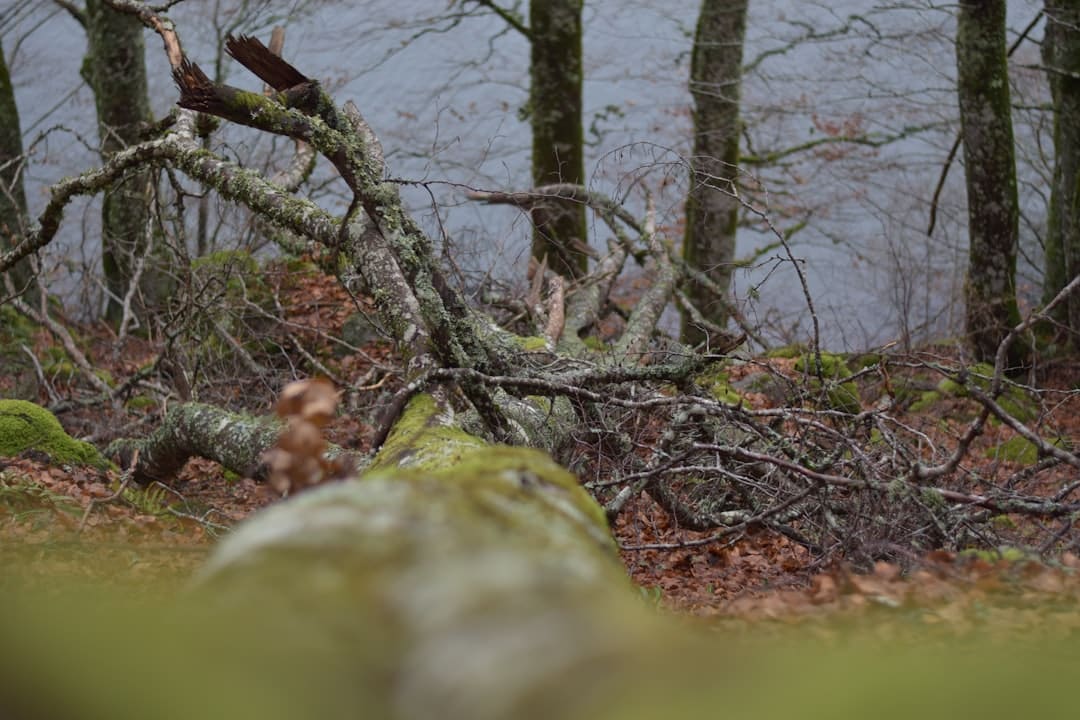 Lac du Salagou – Pêche, baignade et infos pratiques lac du salagou pêche aux leurres