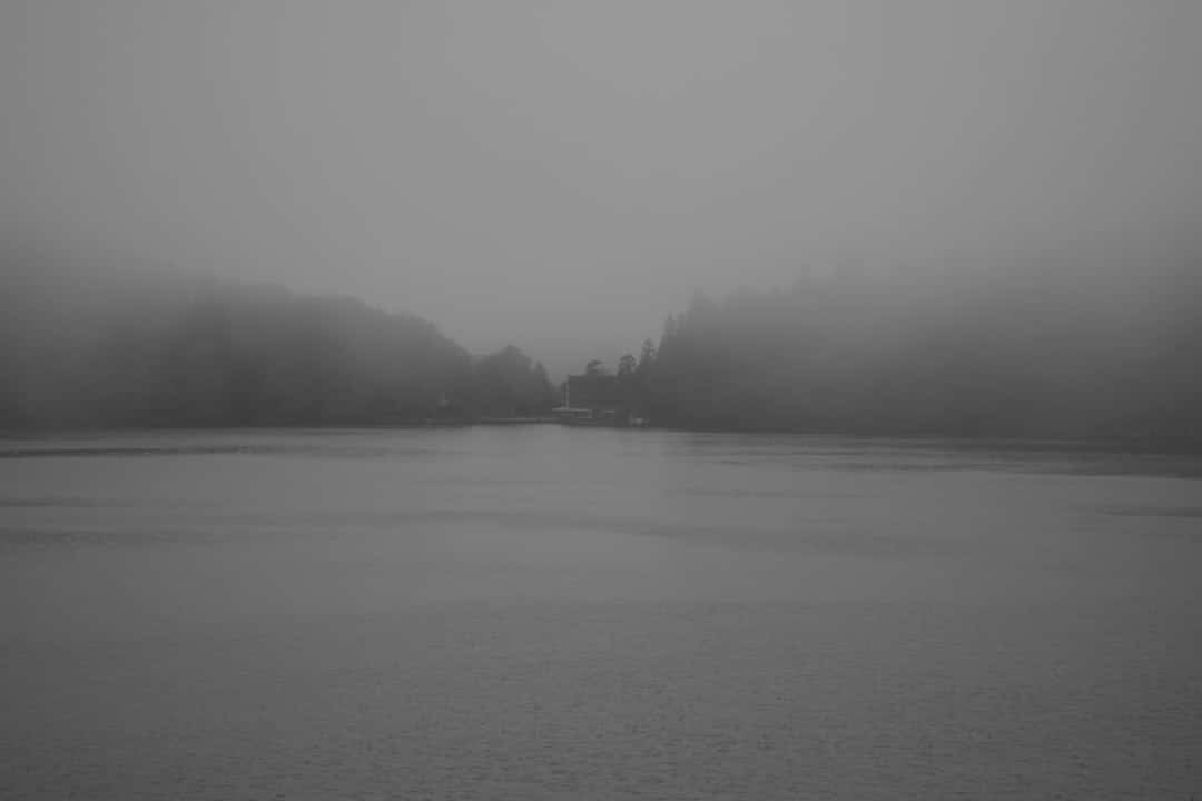 Lac du Salagou – Pêche, baignade et infos pratiques poissons et pêche au lac du salagou