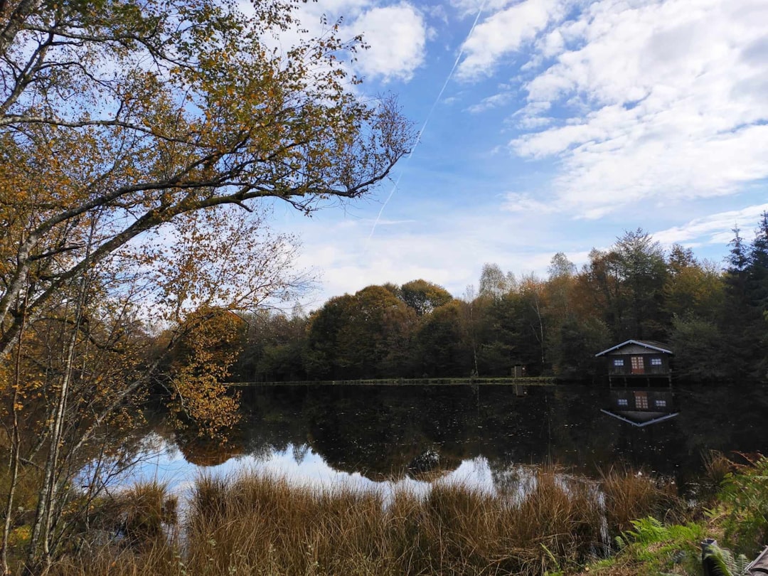 Lac du Salagou – Pêche, baignade et infos pratiques activités au lac du salagou