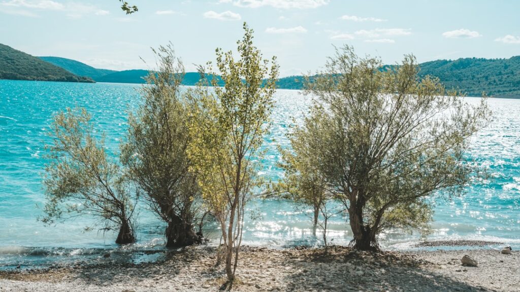 lac du verdon - vue du lac