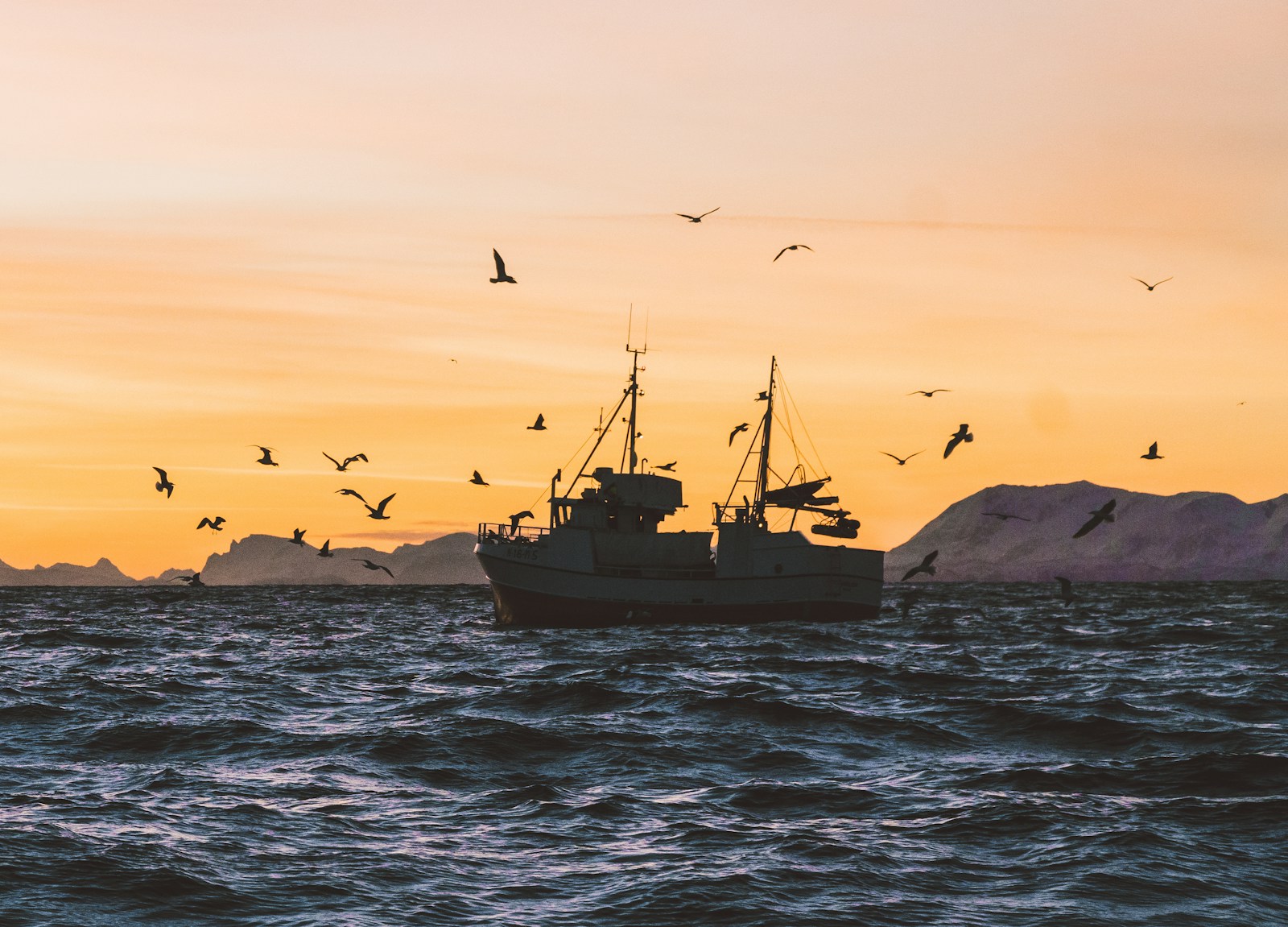RecFishing : déclarer ses prises de pêche en mer (2026) Bateau de pêche de loisir en mer au lever du soleil