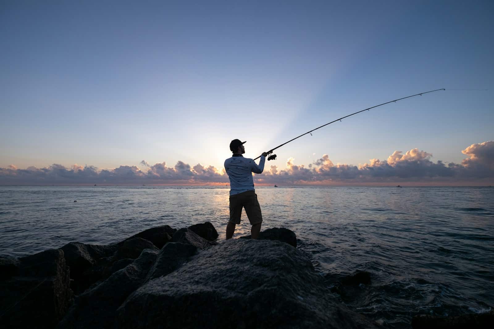 RecFishing : déclarer ses prises de pêche en mer (2026) Pêche du bar au leurre depuis les rochers